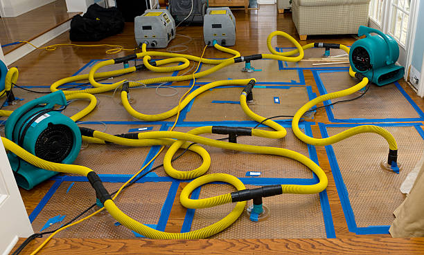 Professional Water Damage Repair technician working in Crawford, TN